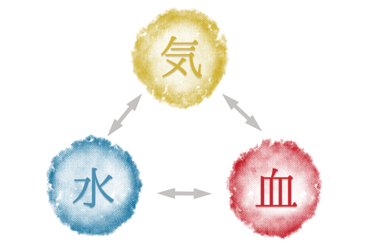 バスト整体M　富山　気血水